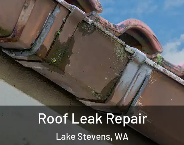  Roof Leak Repair Lake Stevens, WA